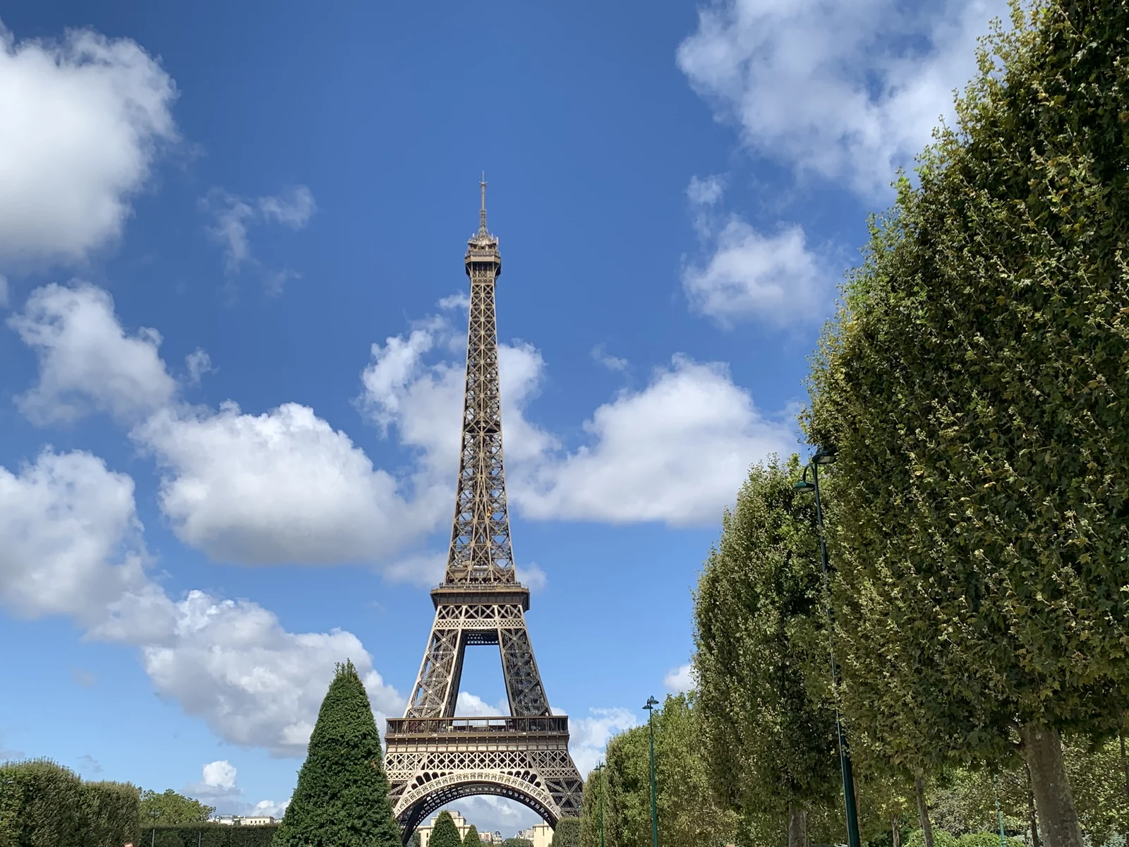 The Eiffel Tower rising above trees at the Champ de Mars in daylight